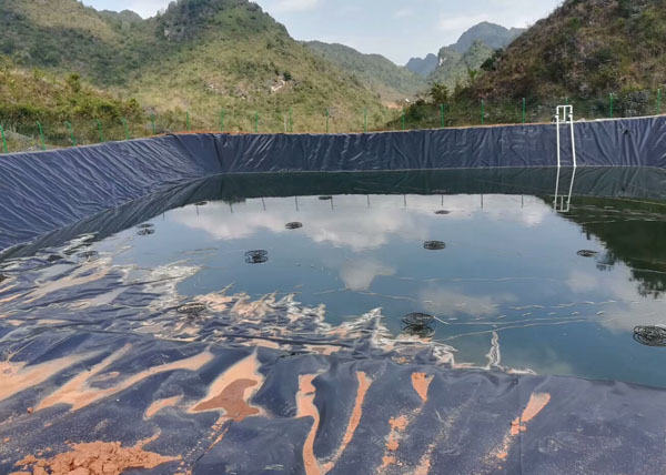 ���������B����Ĥ